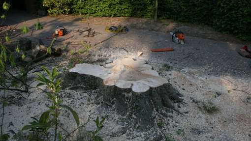 wat overblijft is het gat, eind van de boom, dit kunnen wij ook voor u uitfrezen hovenier tilburg tuinontwerp 